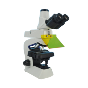 Kính hiển vi huỳnh quang Mf23
