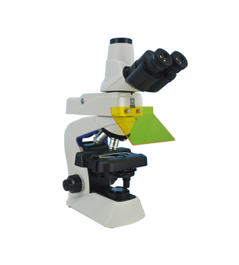 Kính hiển vi huỳnh quang Mf23